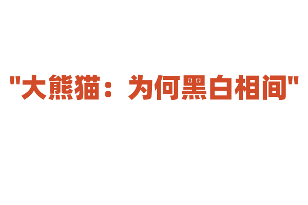"大熊猫：为何黑白相间"